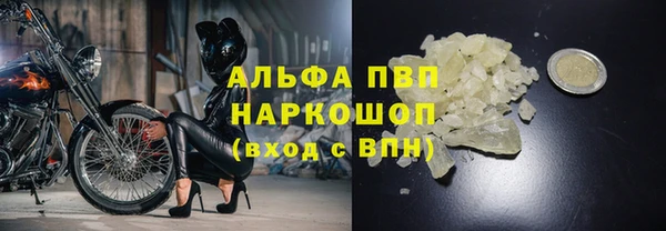 СК Балахна