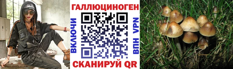 Псилоцибиновые грибы MAGIC MUSHROOMS  Радужный 